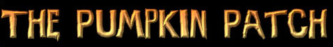 logo1-3.jpg (16202 bytes)